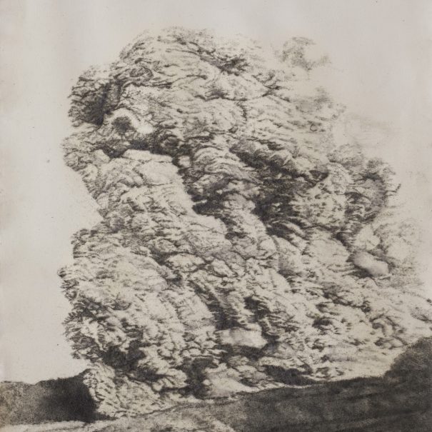 גל וינשטין, "ענן אבק 3", צמר פלדה ולבד על נייר, 100X70 ס"מ, 2008